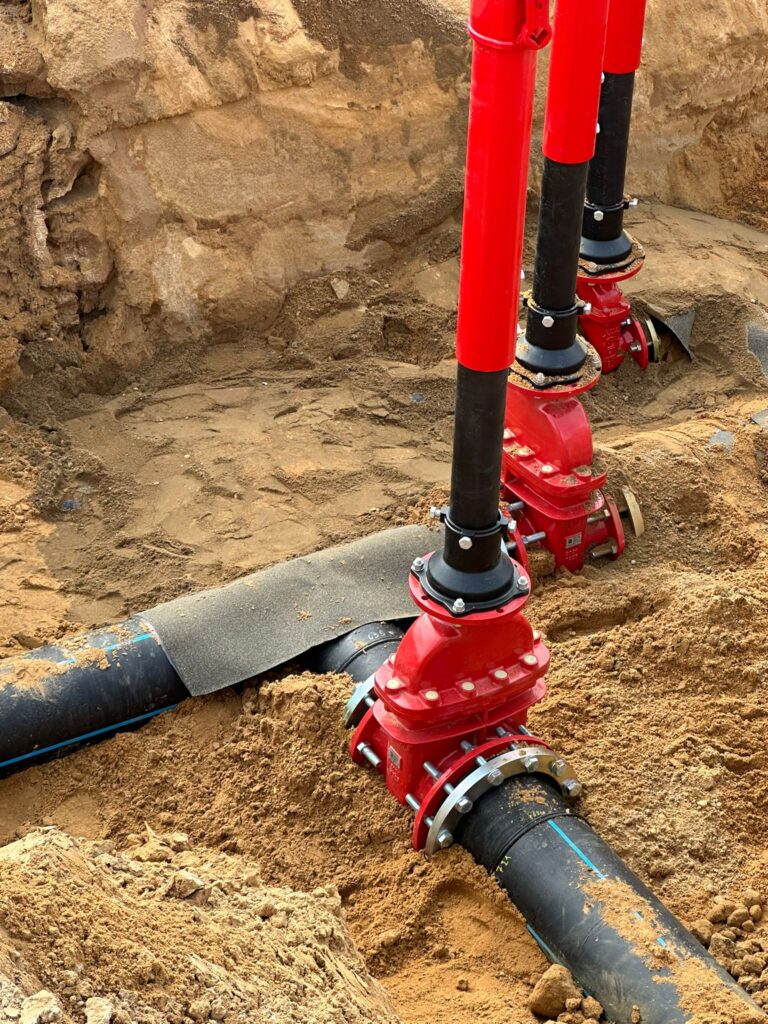 1ec59ada 8080 4a01 ae73 88ea68848327