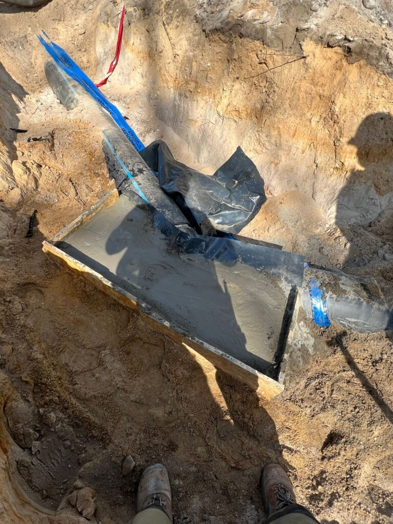 665dd35f 8cfc 4204 b40a b59d8edf9210