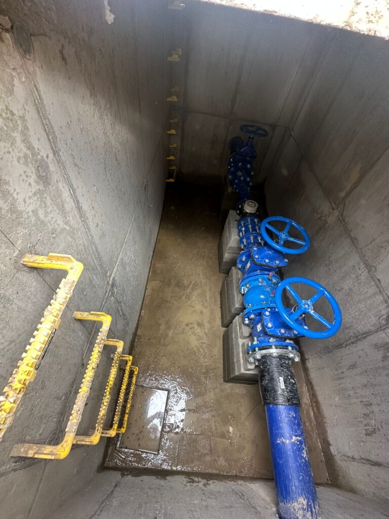 888d23f2 5952 42ec aae4 8e28a1e12d9d