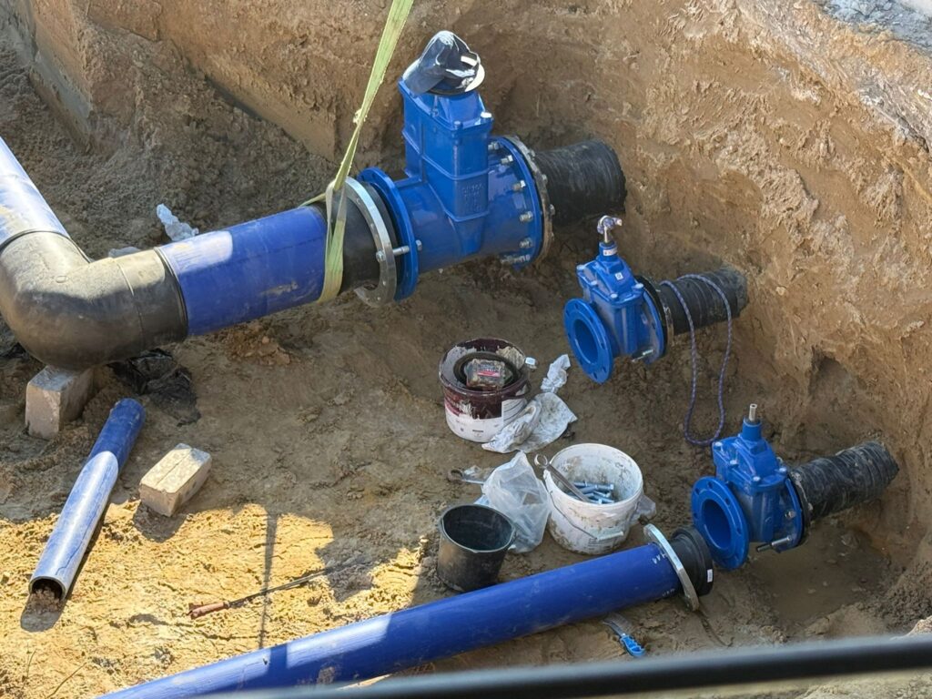 photo 2026 01 04 20 16 55