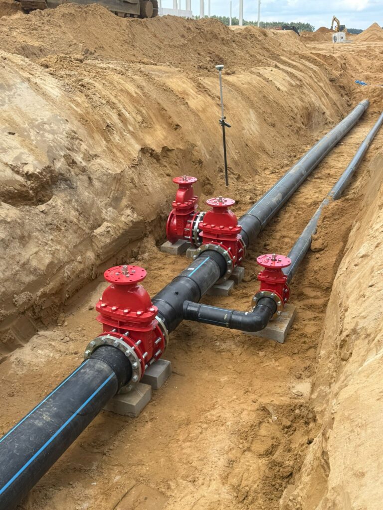 photo 2026 01 04 20 16 55(2)