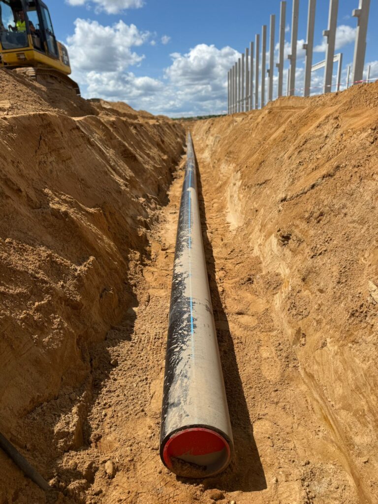 photo 2026 01 04 20 16 55(3)