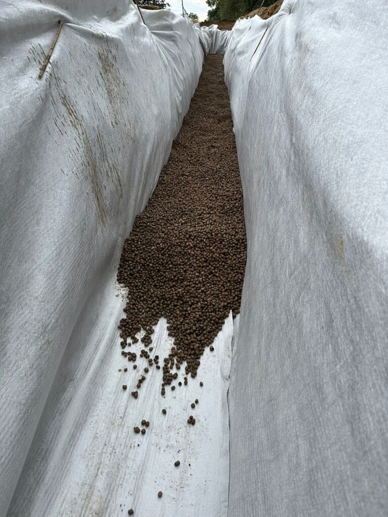 f78118c0 25f2 43dc 9a39 f31cf10c9809